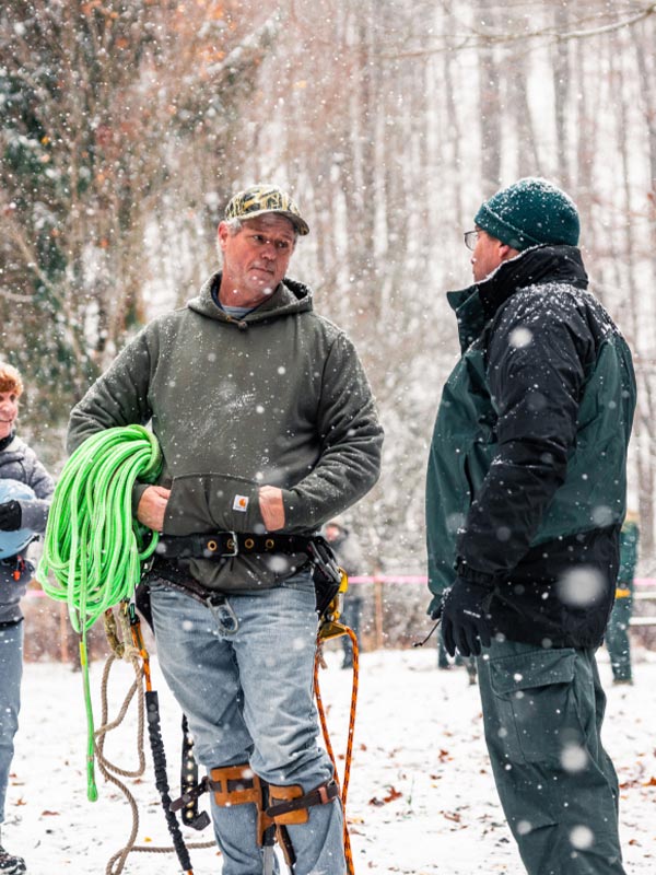 Arborists ready to harvest a new tree