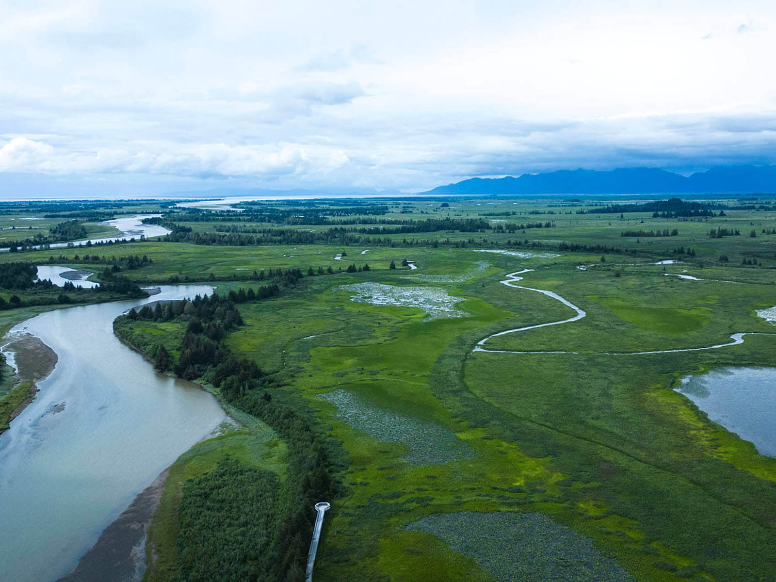 View of the Copper River Delta