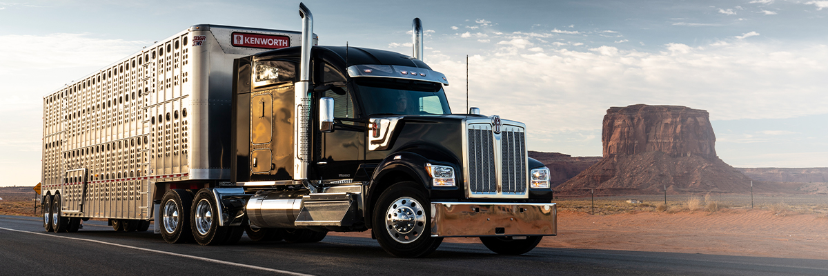 Kenworth W990 parked with desert background